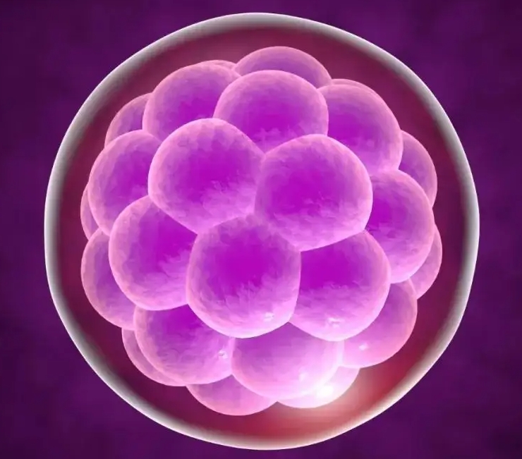 hiv患者在漳州做三代试管的成功率有多少？有哪些因素会影响试管成功率