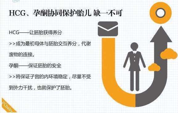拉拉在深圳做三代试管的成功率有多少？有哪些因素会影响试管成功率