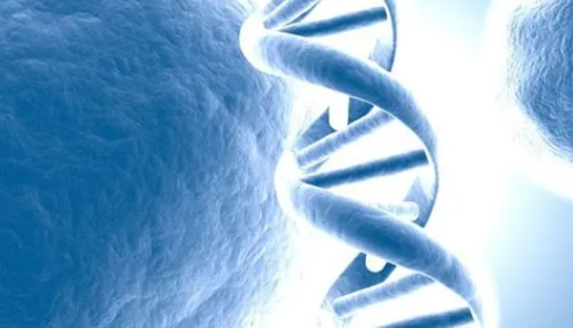 hiv患者在江苏做三代试管的流程是怎么样的？三代试管攻略大全