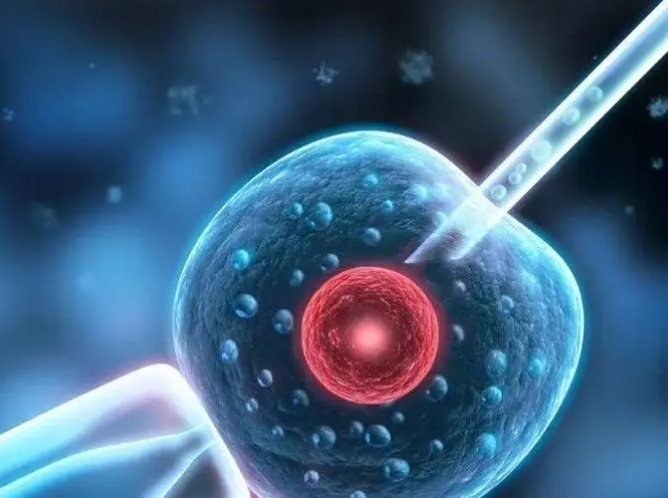 子宫息肉在漳州做三代试管的成功率有多少？有哪些因素会影响试管成功率
