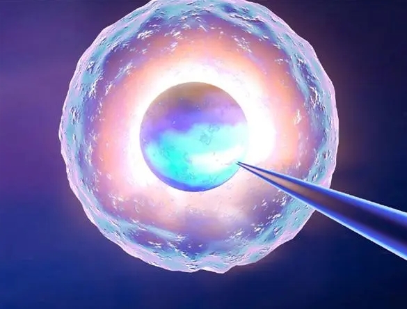 未婚在广州做三代试管的成功率有多少？有哪些因素会影响试管成功率