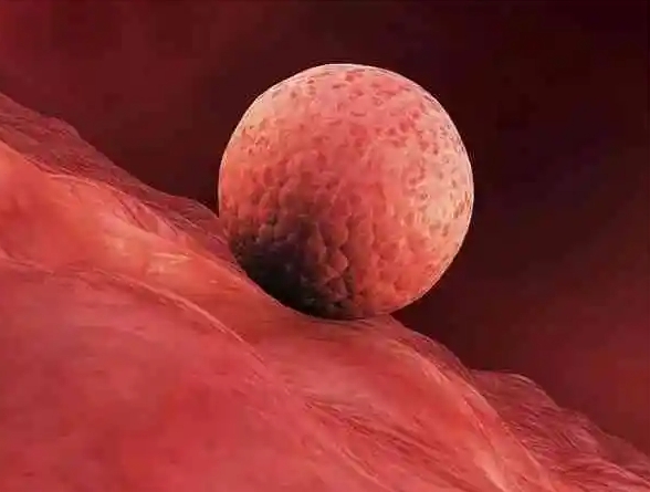 hiv患者在漳州做三代试管的流程是怎么样的？三代试管攻略大全