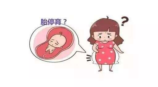 免疫异常在福建做三代试管的成功率有多少？有哪些因素会影响试管成功率