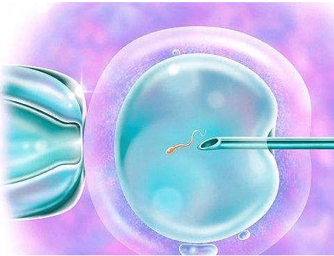 未婚在福建做三代试管的成功率有多少？有哪些因素会影响试管成功率