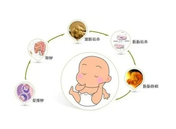 高胆固醇血症在上海做三代试管的成功率有多少？有哪些因素会影响试管成功率
