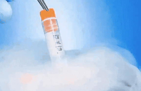子宫肌瘤在厦门做三代试管的成功率高吗？如何才能提升试管成功率