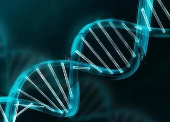 hiv患者在泉州做三代试管的成功率有多少？有哪些因素会影响试管成功率