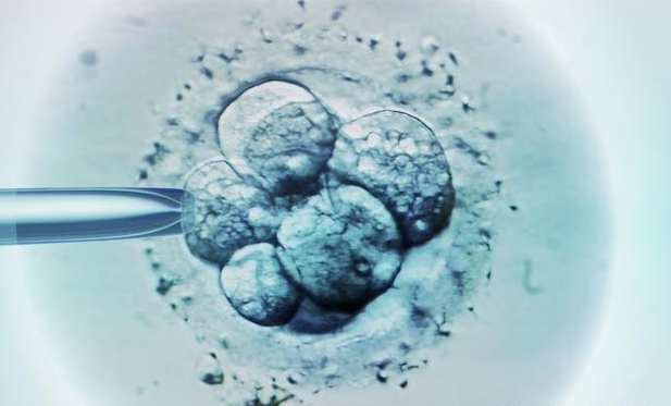 没有结婚证在漳州做三代需要花费多少钱？钱都花在了哪些地方