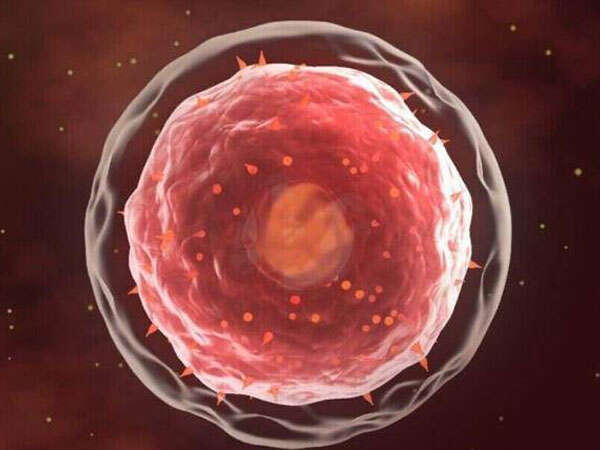 hiv患者在泉州做三代需要花费多少钱？钱都花在了哪些地方