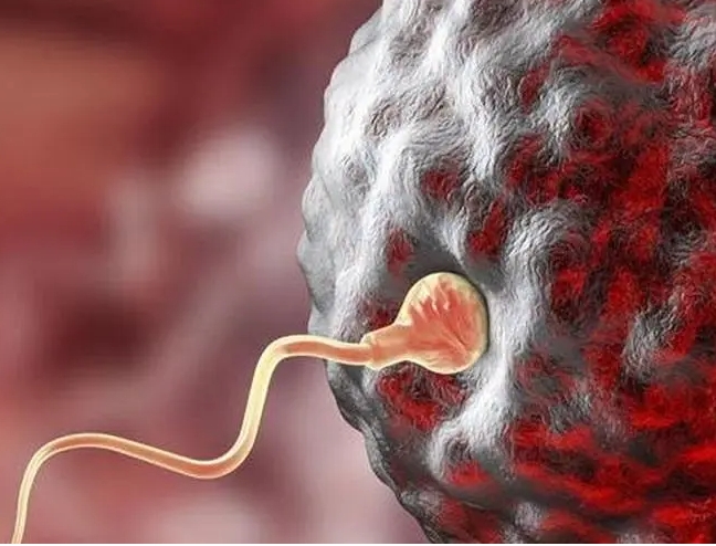 子宫肌瘤在漳州做三代需要花费多少钱？钱都花在了哪些地方