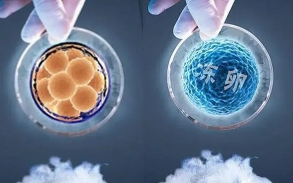 子宫息肉在浙江做三代试管的成功率有多少？有哪些因素会影响试管成功率