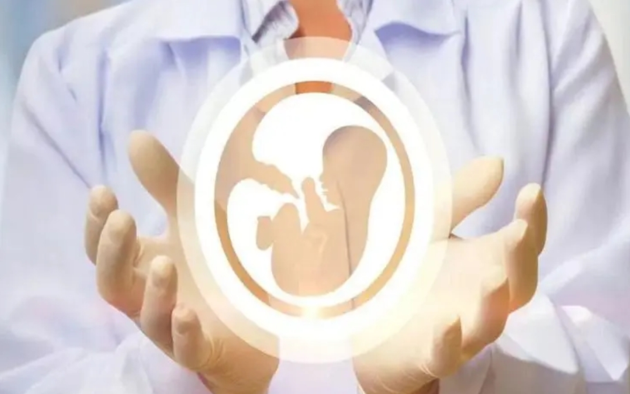 多囊在深圳做三代试管的成功率高吗？如何才能提升试管成功率