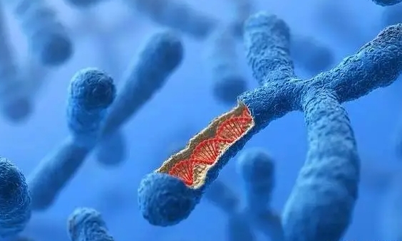子宫息肉在深圳做三代试管的成功率高吗？如何才能提升试管成功率