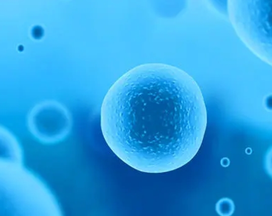 子宫息肉在马来西亚做三代试管的成功率高吗？如何才能提升试管成功率