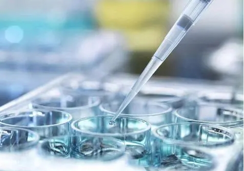 复合型血脂异常在马来西亚做三代试管的成功率高吗？如何才能提升试管成功率