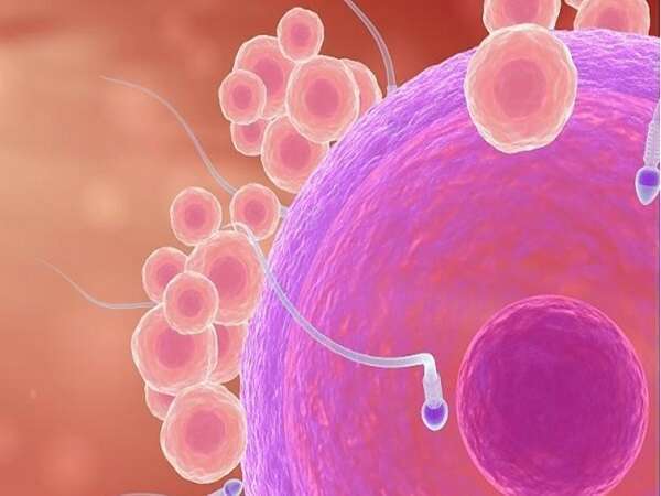 hiv患者在浙江做三代试管的成功率高吗？如何才能提升试管成功率