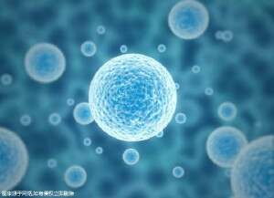 未婚在厦门做三代试管的成功率高吗？如何才能提升试管成功率