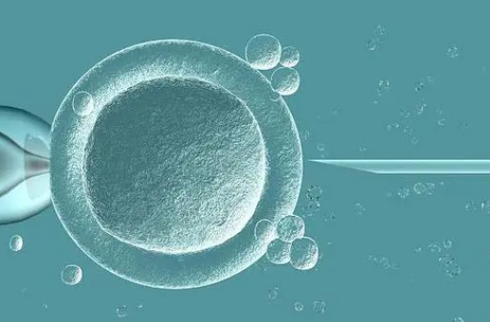 子宫息肉在广州做三代试管的成功率高吗？如何才能提升试管成功率