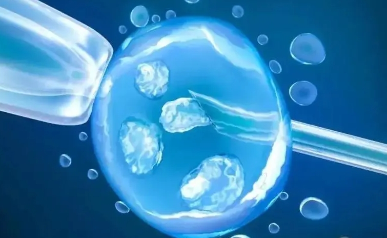 高胆固醇血症在浙江做三代试管的成功率高吗？如何才能提升试管成功率