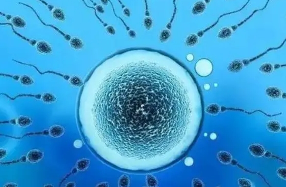 免疫异常在福建做三代试管的成功率高吗？如何才能提升试管成功率