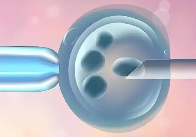 深圳三代试管婴儿成功率揭秘，关键因素与提升策略
