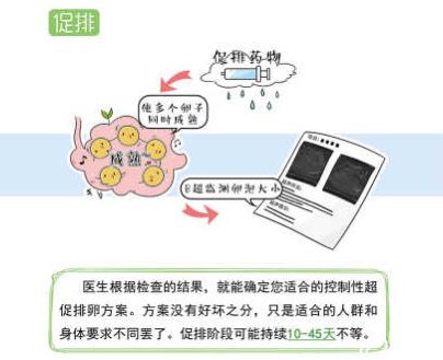 高胆固醇血症在厦门做三代试管的费用贵吗？费用明细是怎么样的