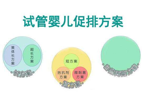 糖尿病做三代试管的成功率高吗？如何才能提升试管成功率