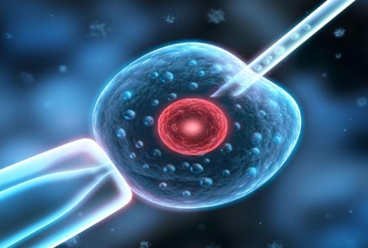 2025年hiv患者在泰国做三代需要花费多少钱？钱都花在了哪些地方
