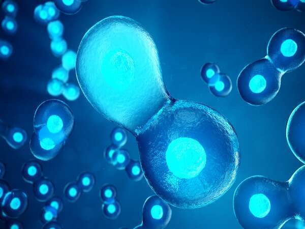 2025年高龄在泰国做三代需要花费多少钱？钱都花在了哪些地方