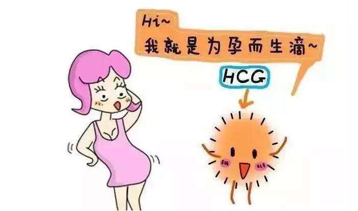 子宫肌瘤在厦门做三代需要花费多少钱？钱都花在了哪些地方