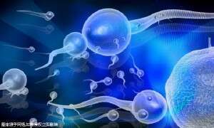 腺肌症在厦门做三代需要花费多少钱？钱都花在了哪些地方