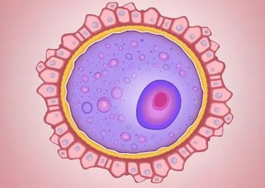 空腹粘连在江苏做三代需要花费多少钱？钱都花在了哪些地方