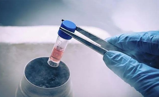 做试管婴儿需要哪些证件？试管移植前应该如何调理？
