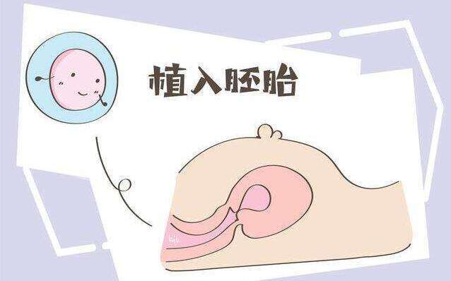 2025中山试管婴儿医院排名，附成功率及费用介绍