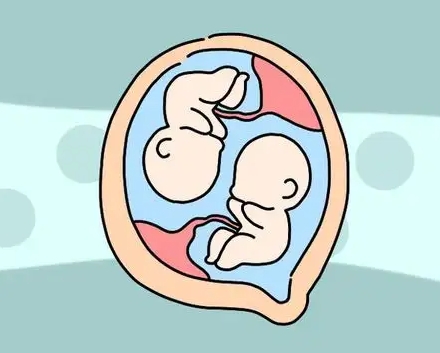 俄罗斯试管婴儿费用多少钱？试管婴儿的条件是什么？