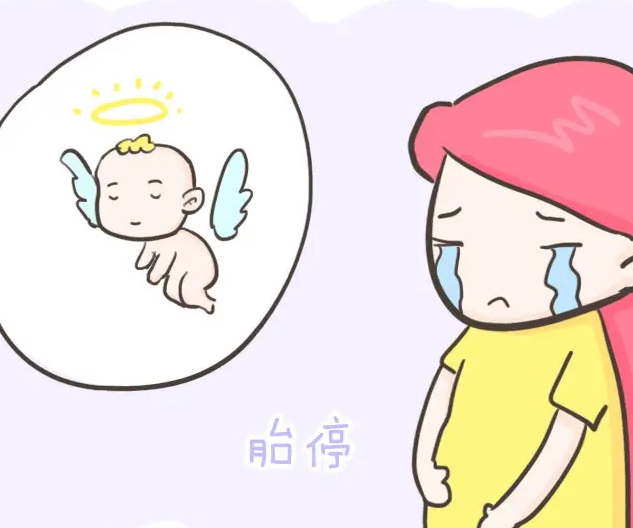 赴泰试管婴儿选择正规机构，享受优质服务
