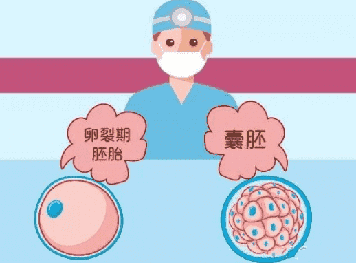 2025年泰国试管婴儿出行指南，入境曼谷试管必读攻略
