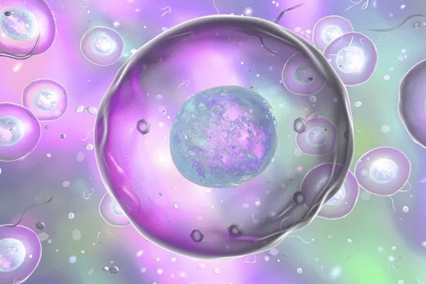 试管婴儿拮抗剂方案有哪些优缺点？拮抗剂方案能提高卵泡质量吗？