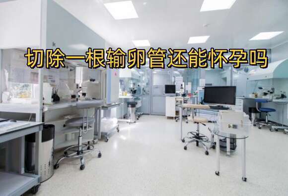试管长方案促排的详细流程是什么？试管婴儿的费用是多少？