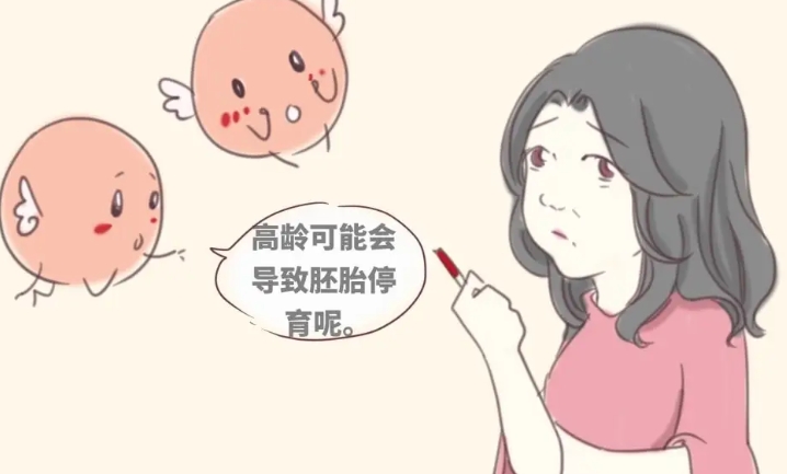 2025年泰国BNH医院做三代试管助孕需要多少钱