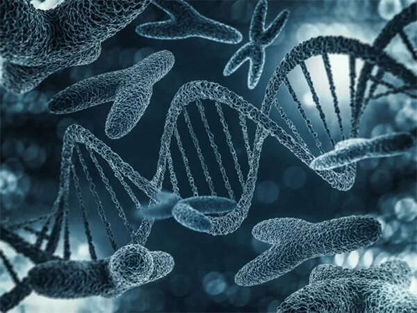 泰国试管婴儿一次多少钱？揭秘泰国试管费用及成功率