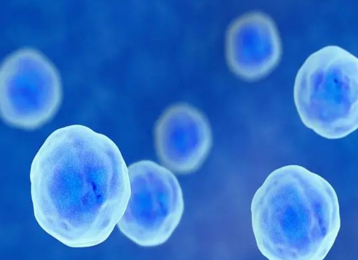 胖多囊怎么样才能容易怀孕？能做试管婴儿吗？
