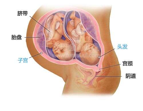 高龄做哈萨克斯坦试管多少钱？附最新试管费用明细