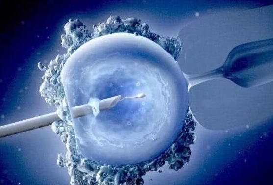 哈尔滨第三代试管婴儿实施流程是怎样的？三代试管攻略大全