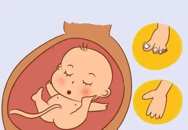 试管婴儿促排期间漏尿正常吗？是什么原因造成的呢？