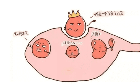 哈萨克斯坦试管多少钱？试管婴儿的步骤是什么？