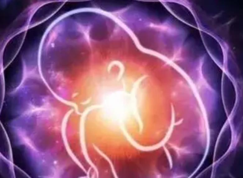 在株洲做试管婴儿可以医保报销吗？如何提高试管成功率？