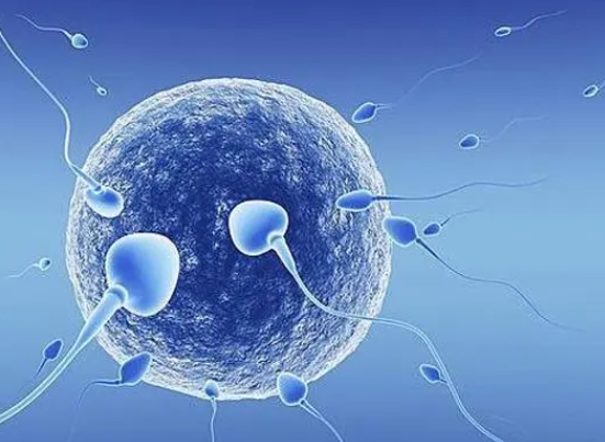 子宫壁薄有什么危害？能做试管婴儿吗？
