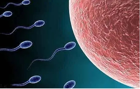 子宫腺肌症是什么病？有哪些症状？