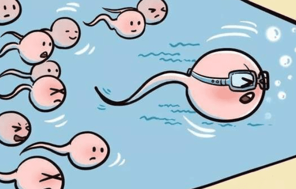 子宫腺肌症的饮食调理方法有哪些？需要注意什么？
